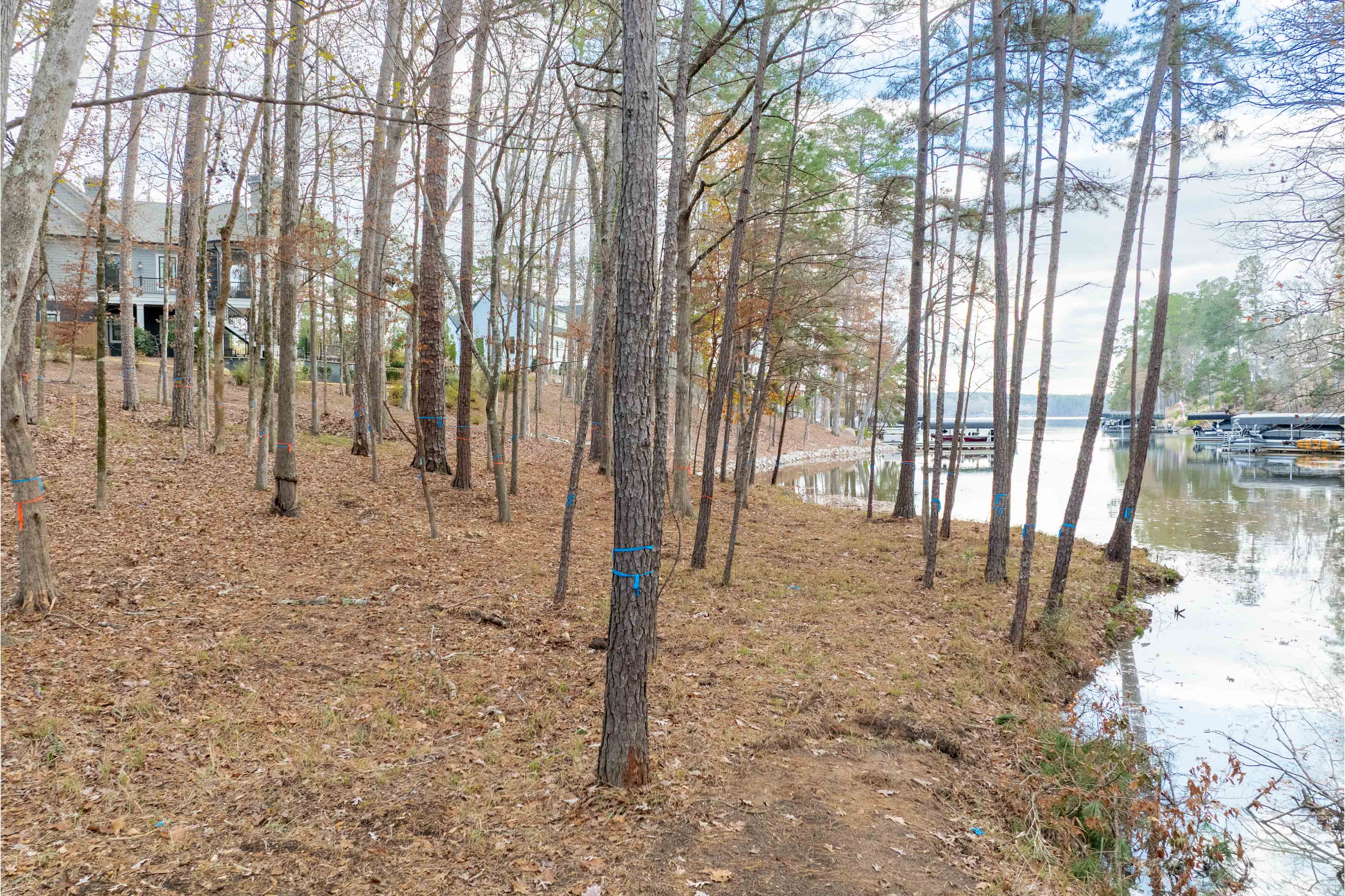 1217 Fox Squirrel Drive image 12